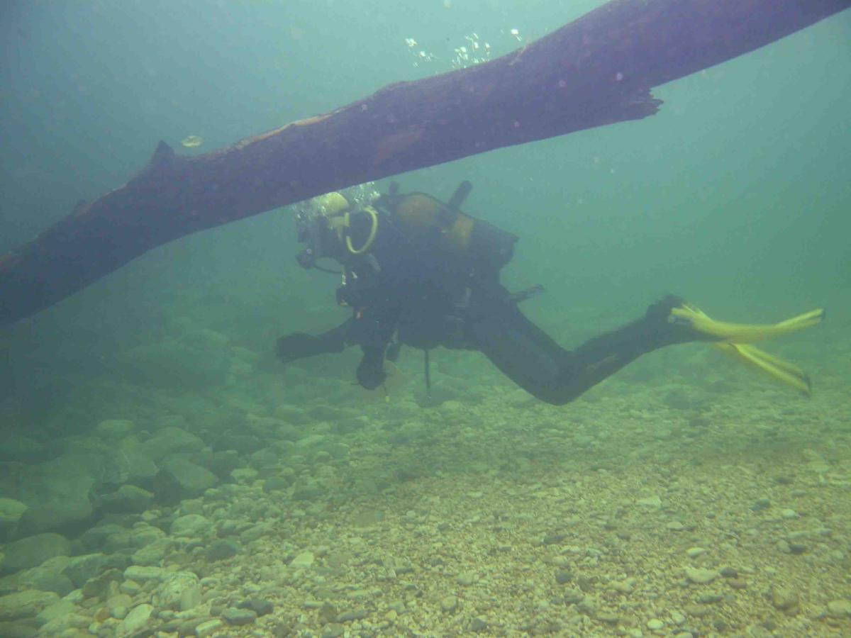 Diving in rivers