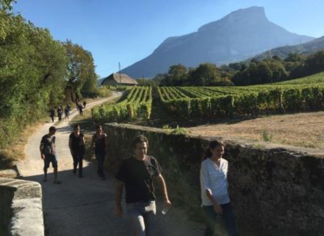 RANDONNEE VIGNOBLE