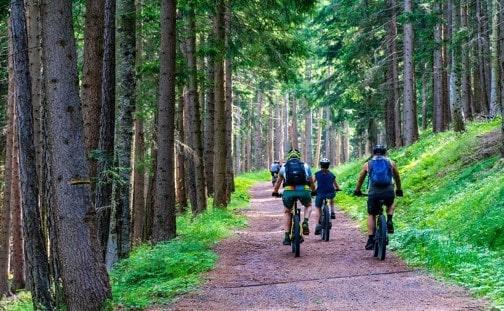VTT Electrique Rando Vouillants