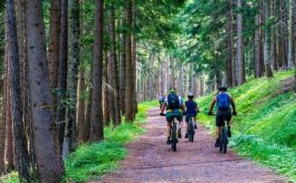 VTT Electrique Rando Vouillants