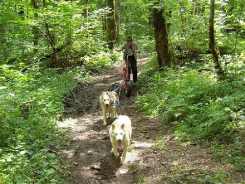 Des activités en hiver, même sans la neige !