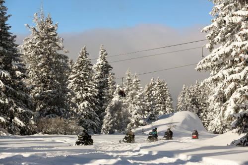 Randonnée en motoneige ... à l'Alpe d'Huez ou à Chamrousse